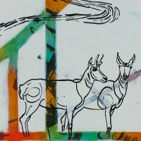 pronghorn painting